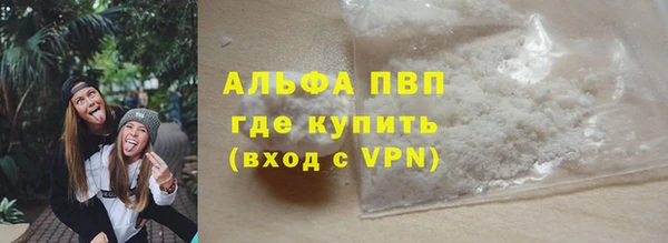 амф Бородино