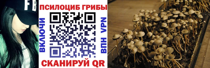 Псилоцибиновые грибы Magic Shrooms  Железноводск 